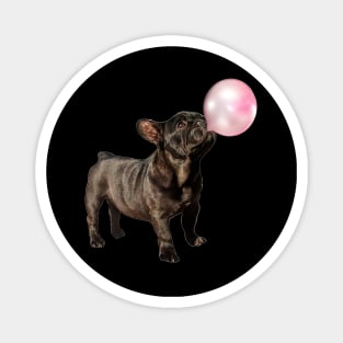 French bulldog, Frenchie 19 Magnet